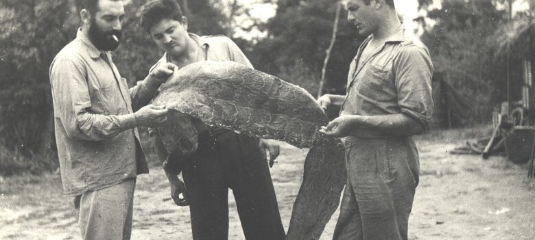 ${folderTitle} 4; Gabon 1952; (voir No 12) ${
