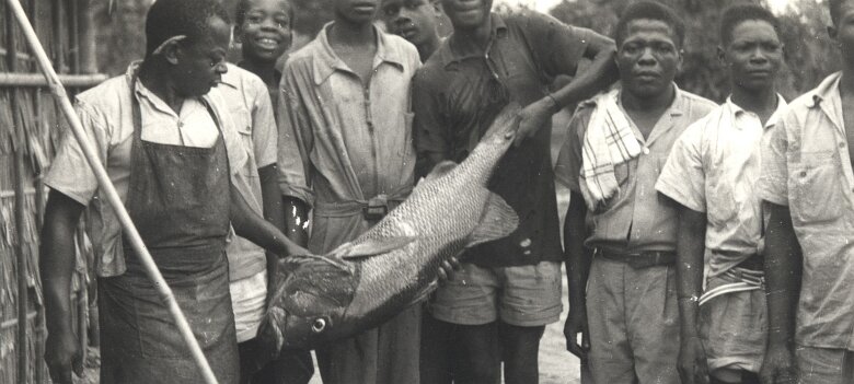 ${folderTitle} 13: Gabon 1952 (voir No 12) ${
