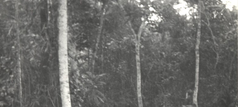 ${folderTitle} 16: Gabon 1952 ${