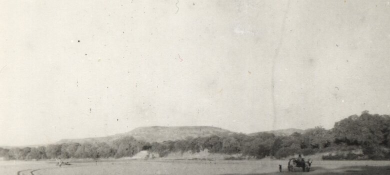 ${folderTitle} Madagascar vers 1952; Paysage - une cariole avec un zébu ${