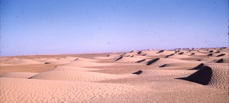 ${folderTitle} 06: Petites dunes ${