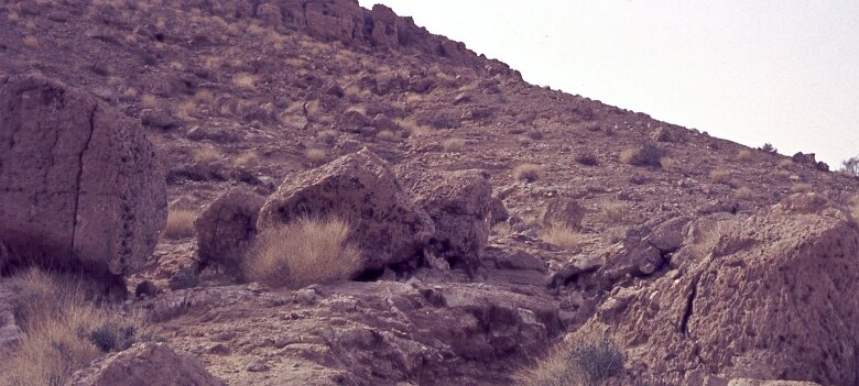 ${folderTitle} 09: Paysage des Metlili (sud de Ghardaia) ${