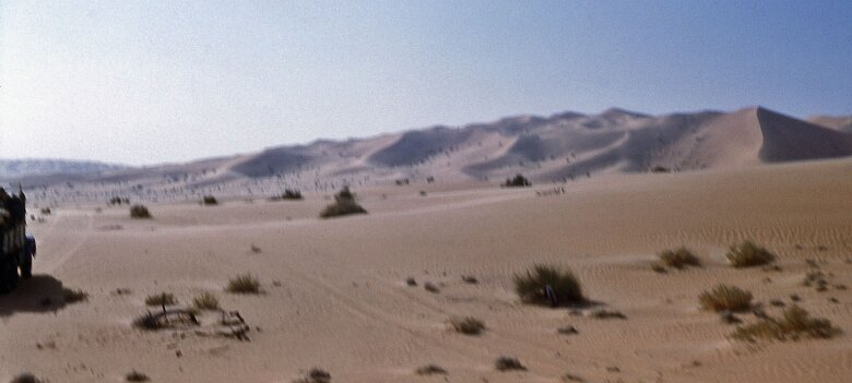 ${folderTitle} 10: Mieux vaut longer les dunes ${