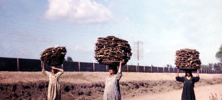 ${folderTitle} Delta du Nil en 1968... ${