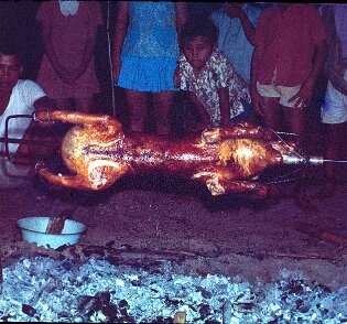 1970-1971: Indonésie Méchoui, cochon grillé ${