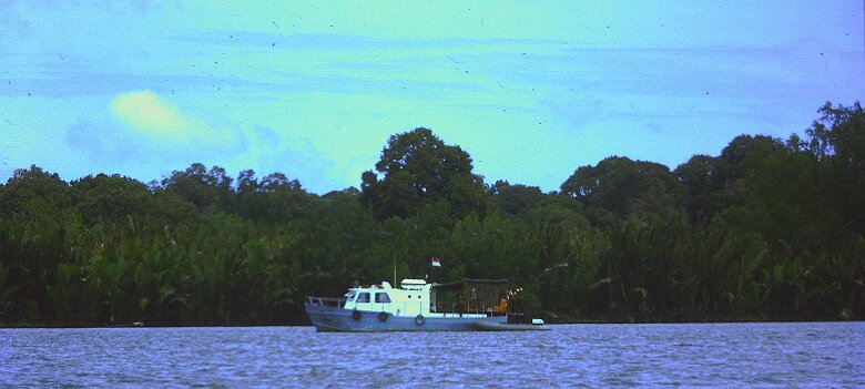 1973-Indonesie_Mahakam_PICT10085-PL Indonésie, Mahakam - Par Pierre Lauro ${fileName} © Pierre Lauro