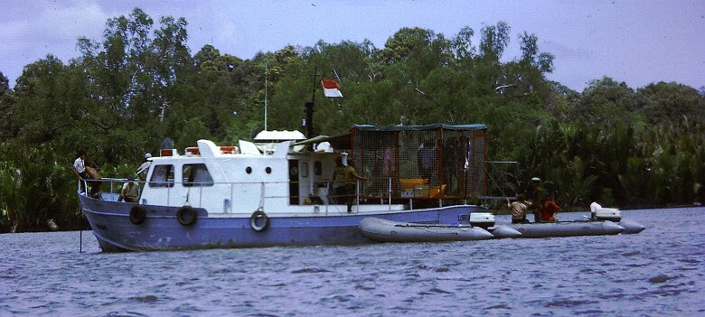 1973-Indonesie_Mahakam_PICT10086-PL Indonésie, Mahakam - Par Pierre Lauro ${fileName} © Pierre Lauro