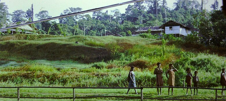 1974-Indonesie_Irian-Jaya_PICT0163-PL Indonésie, Irian Jaya, camp de Bintuni - Par Pierre Lauro ${fileName} © Pierre Lauro