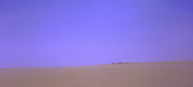 1975-Niger_PICT10139-PL Niger - Par Pierre Lauro ${fileName} © Pierre Lauro