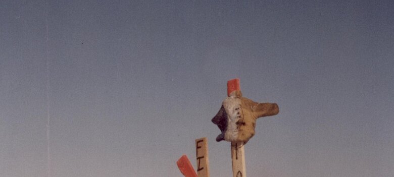 Alaska 1981 par Christian Madillac ${