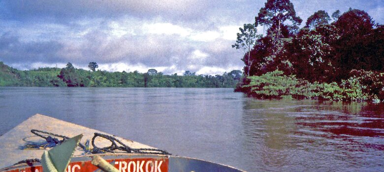 1986: Indonésie par Arnaud Bouvet Sur la Mahakam ${