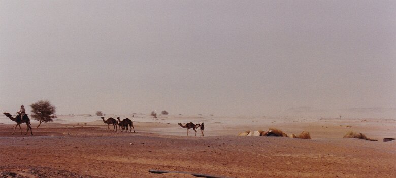 Mission 337 43 56 - Niger 1992 1 région de Termit ${