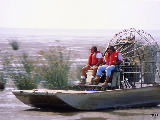 Shallow Water au Vénézuela en 1994 - par Samuel HEDOUIN