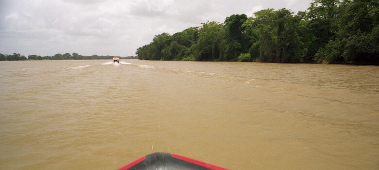 245_VENEZUELA_CGG_1994_009 Shallow Water 424 15 62, dans le delta du Rio Macareo (bassin de l'Orénoque) au Vénézuela en 1994. ${
