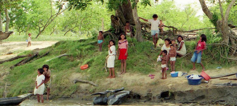245_VENEZUELA_CGG_1994_017 Shallow Water 424 15 62, dans le delta du Rio Macareo (bassin de l'Orénoque) au Vénézuela en 1994. ${