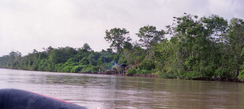 245_VENEZUELA_CGG_1994_020 Shallow Water 424 15 62, dans le delta du Rio Macareo (bassin de l'Orénoque) au Vénézuela en 1994. ${