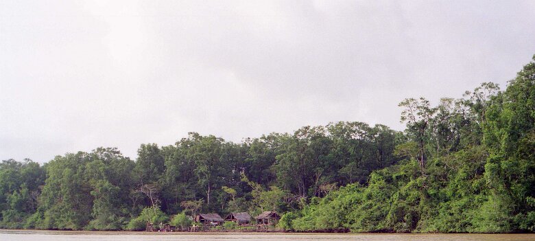 245_VENEZUELA_CGG_1994_023 Shallow Water 424 15 62, dans le delta du Rio Macareo (bassin de l'Orénoque) au Vénézuela en 1994. ${
