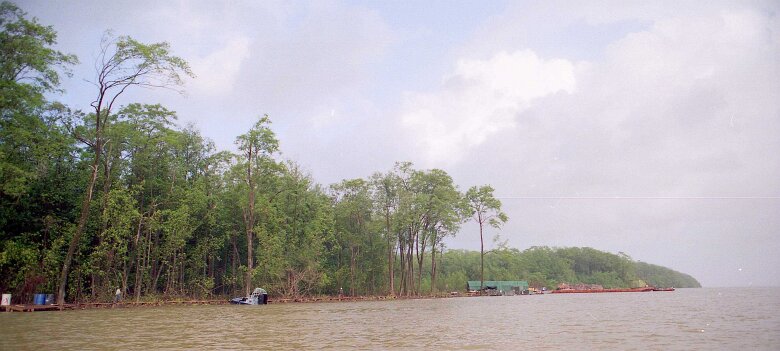 245_VENEZUELA_CGG_1994_028 Shallow Water 424 15 62, dans le delta du Rio Macareo (bassin de l'Orénoque) au Vénézuela en 1994. ${