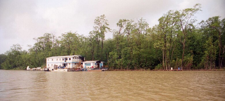 245_VENEZUELA_CGG_1994_029 Shallow Water 424 15 62, dans le delta du Rio Macareo (bassin de l'Orénoque) au Vénézuela en 1994. ${