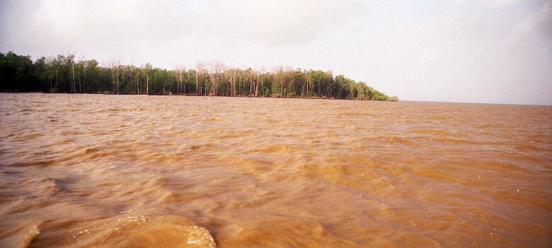 245_VENEZUELA_CGG_1994_036 Shallow Water 424 15 62, dans le delta du Rio Macareo (bassin de l'Orénoque) au Vénézuela en 1994. ${