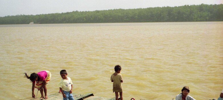 246_VENEZUELA_CGG_1994_003 Shallow Water 424 15 62, dans le delta du Rio Macareo (bassin de l'Orénoque) au Vénézuela en 1994. ${