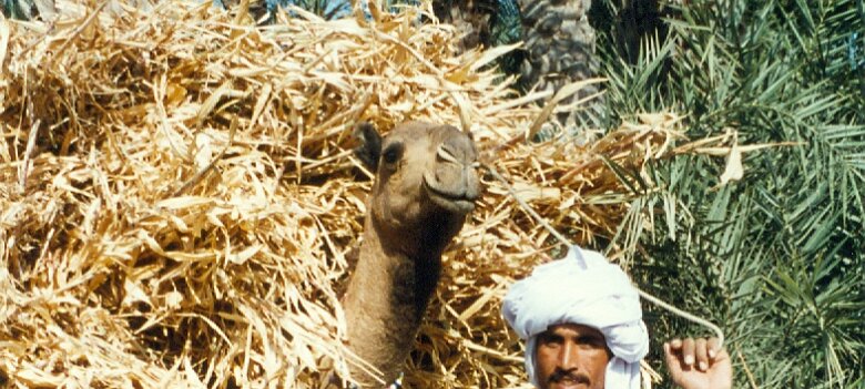 Pakistan en janvier-février 1995 ${