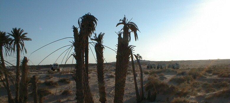 2000: Tunisie par Christian Madillac Mission Tunisie en mars 2000 ${