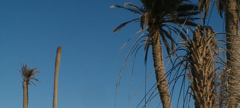 2000: Tunisie par Christian Madillac Mission Tunisie en mars 2000 ${