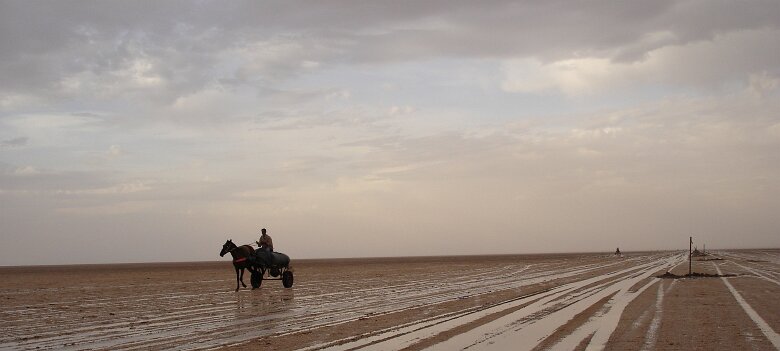 Tunisie par Christian Bois Chott el Jerid, Tunisie en septembre-octobre 2007 23/09/2007 08:29 © Chistian Bois