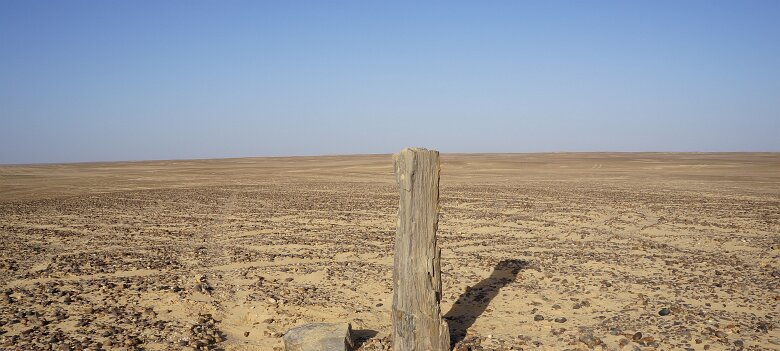 26/01/2012 07:51 Egypte C Bois DSC00051 ${