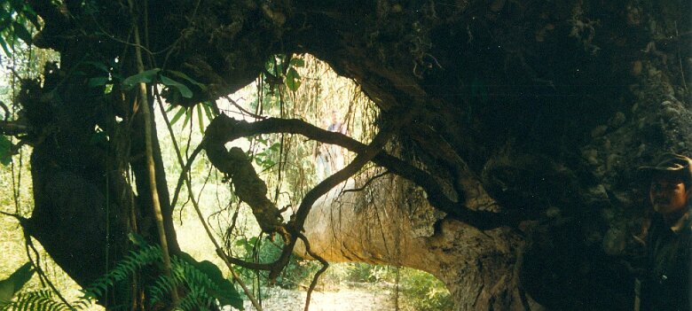 Gazoduc Myanmar Total - 7 - Paysage - ${label} ${