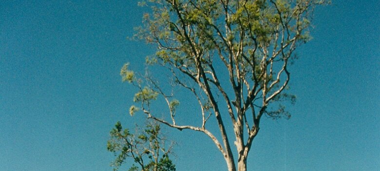 Gazoduc Myanmar Total - 7 - Paysage - ${label} ${