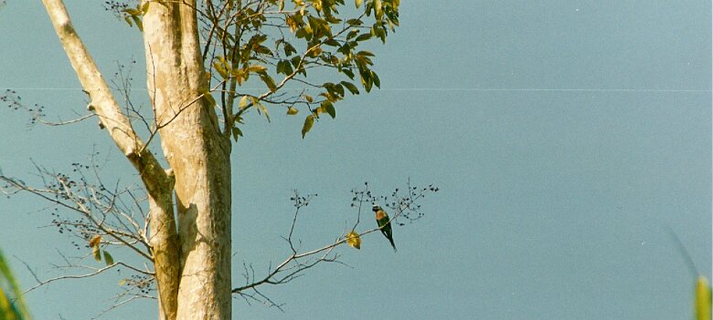 Gazoduc Myanmar Total - 7 - Paysage - ${label} ${