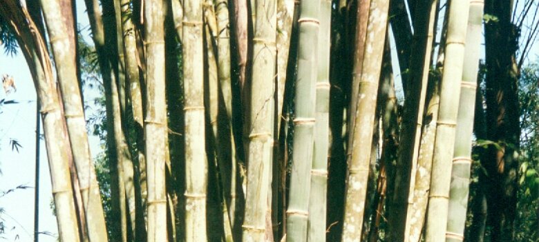 Gazoduc Myanmar Total - 9 - gazoduc - ${label} ${