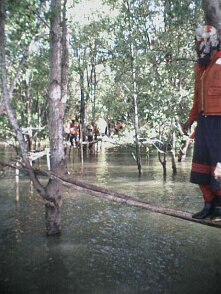 Photos Indonesie - Irian Jaya/Bardas/Barda 2 - ${label} ${