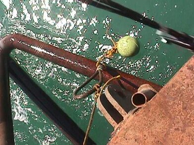 Photos Indonesie - Irian Jaya/Barges/DR21 - ${label} ${