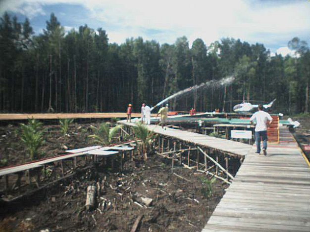 BP LCT