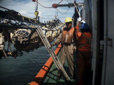 Photos Indonesie - Irian Jaya/Bateaux/Gun Boat - ${label} ${