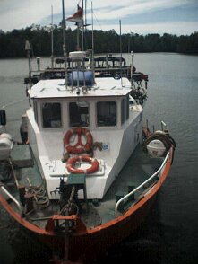 Photos Indonesie - Irian Jaya/Bateaux/Gun Boat - ${label} ${