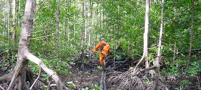 Photos Indonesie - Irian Jaya/Bridging/Bridging_0302 - ${label} ${