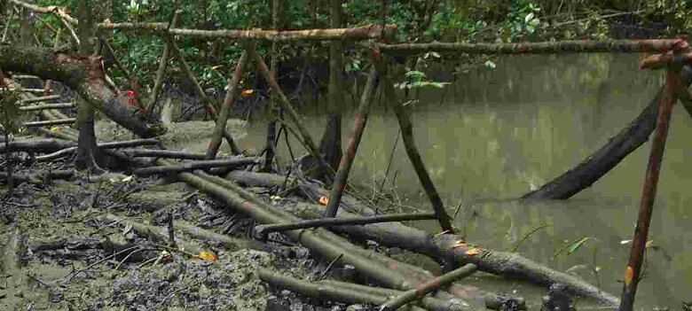 Photos Indonesie - Irian Jaya/Bridging - ${label} ${