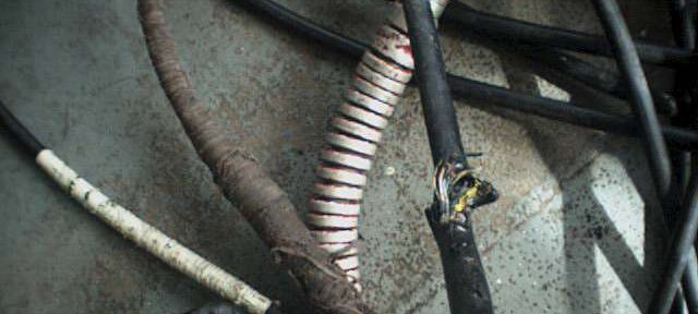 Photos Indonesie - Irian Jaya/CABLES - ${label} ${