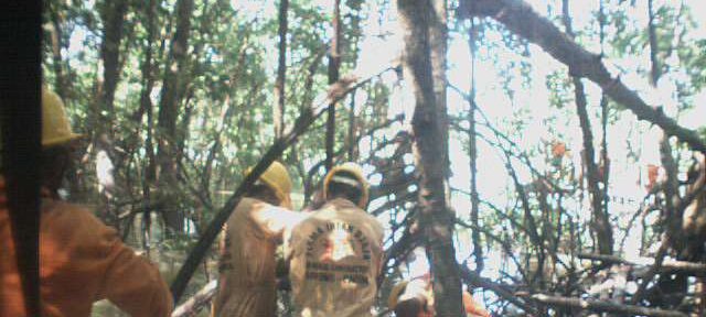 Photos Indonesie - Irian Jaya/Job training/Drilling Job Training - ${label} ${