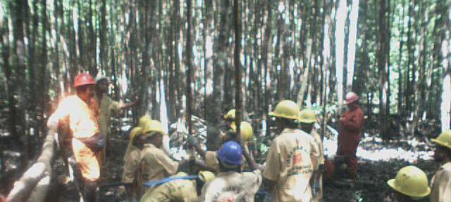 Photos Indonesie - Irian Jaya/Job training/Drilling Job Training - ${label} ${