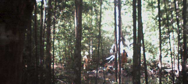 Photos Indonesie - Irian Jaya/Job training/Drilling Job Training - ${label} ${