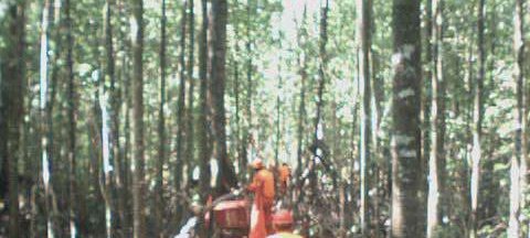 Photos Indonesie - Irian Jaya/Job training/Drilling Job Training - ${label} ${