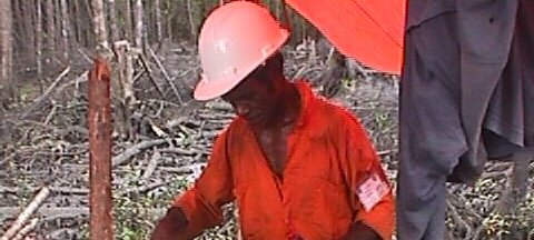 Photos Indonesie - Irian Jaya/Medevacs/050202 - ${label} ${