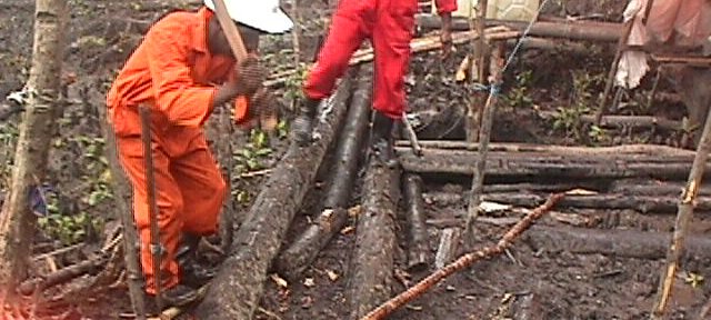 Photos Indonesie - Irian Jaya/Medevacs/050202 - ${label} ${