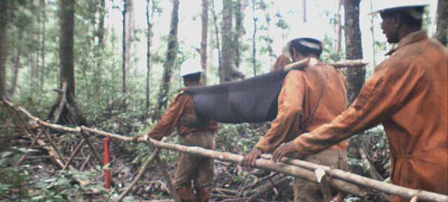 Photos Indonesie - Irian Jaya/Medevacs/260202 - ${label} ${