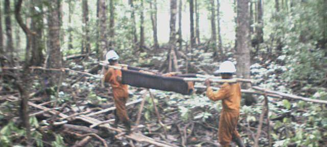 Photos Indonesie - Irian Jaya/Medevacs/260202 - ${label} ${